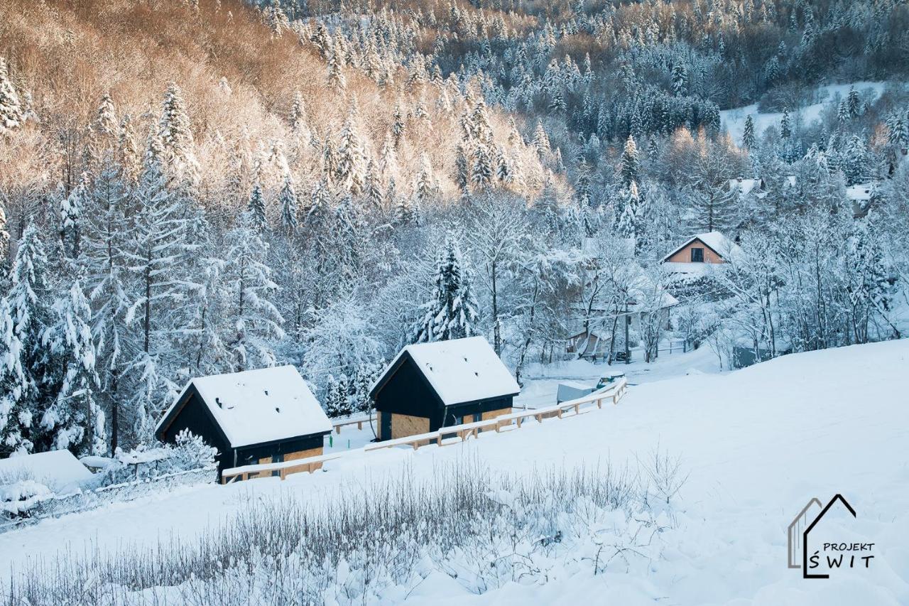 Projekt Swit - Domki Z Prywatna Jacuzzi I Sauna Żywiec Buitenkant foto