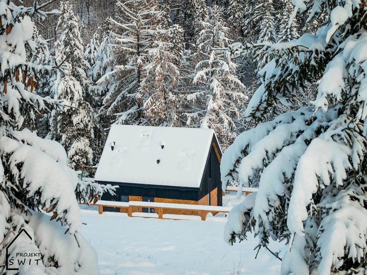 Projekt Swit - Domki Z Prywatna Jacuzzi I Sauna Żywiec Buitenkant foto
