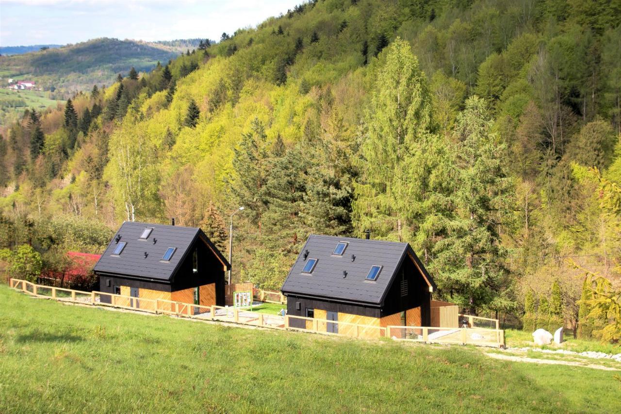 Projekt Swit - Domki Z Prywatna Jacuzzi I Sauna Żywiec Buitenkant foto