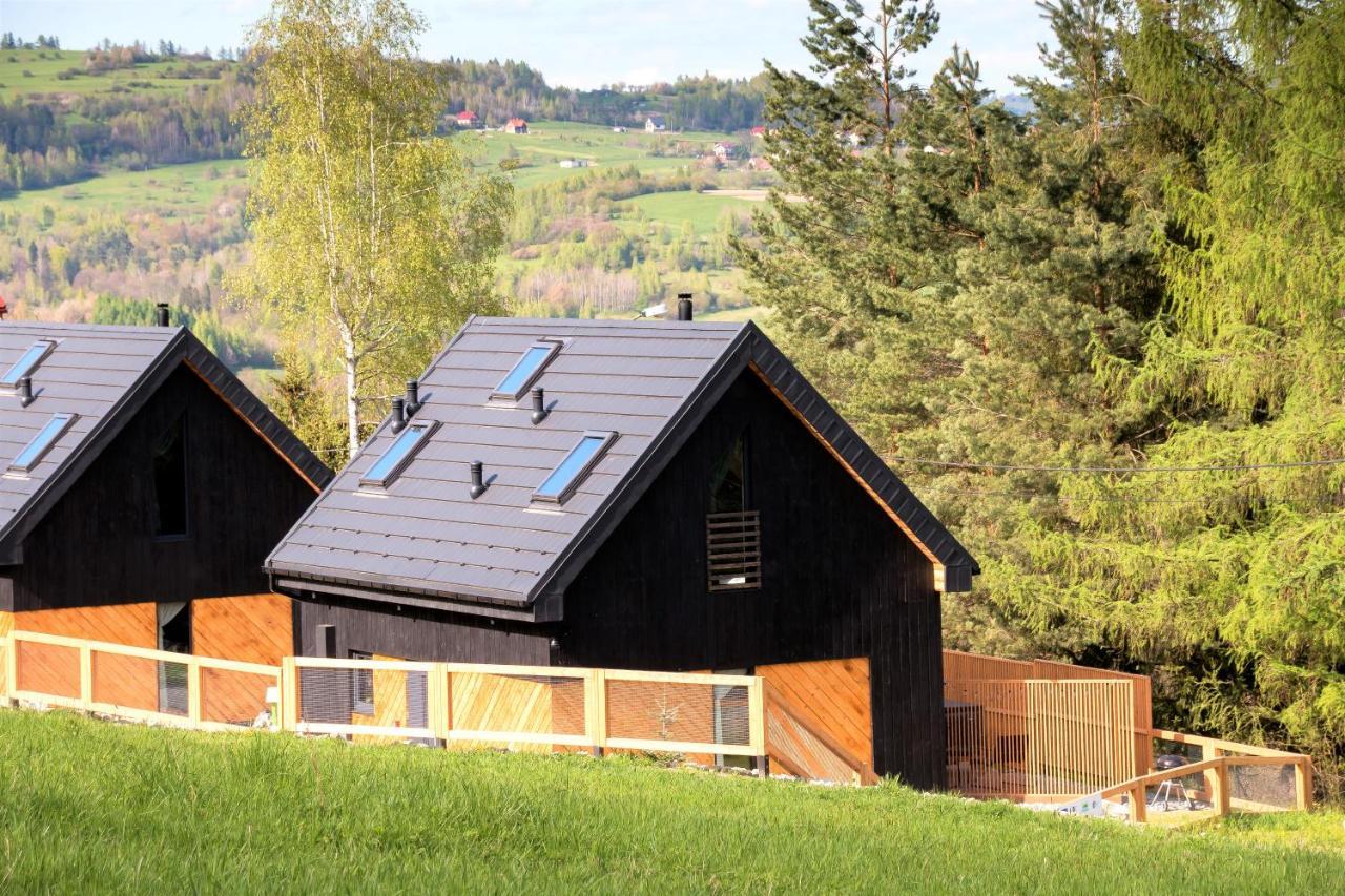 Projekt Swit - Domki Z Prywatna Jacuzzi I Sauna Żywiec Buitenkant foto